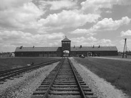 Birkenau